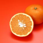 Orangensaft-Rezepte